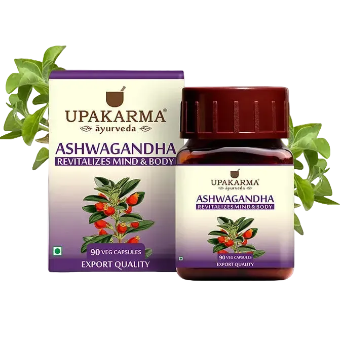 ASHWAGANDHA 90 Hylki